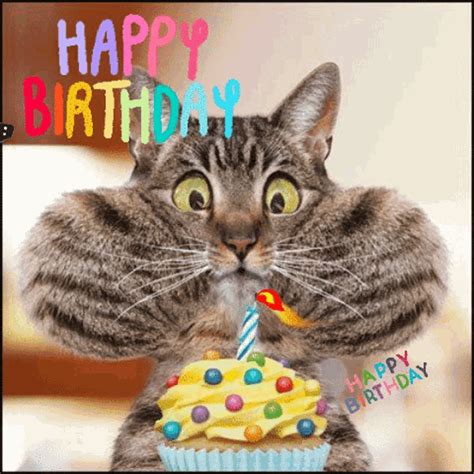 happy birthday gif lustig|Funny Birthday GIFs